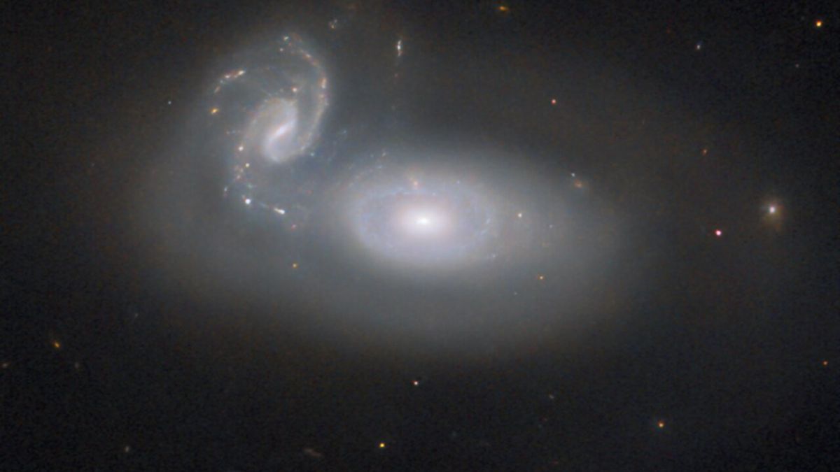 Galaxies are intertwined in ‘the queen’s hair’ in a new image from the Hubble Telescope.
 