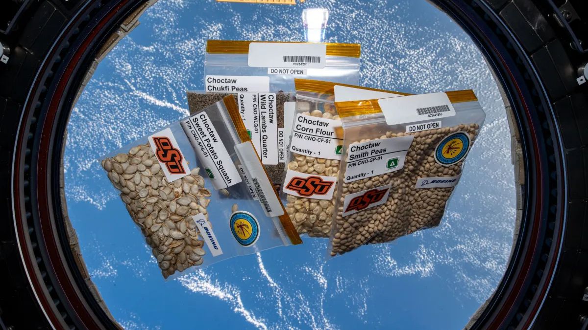  Seeds from the Choctaw Nation that have been in space will be planted on Earth for a STEM experiment.
 