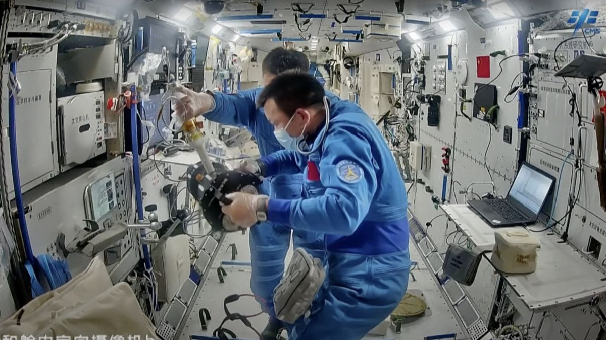  Fruit flies in space! Chinese astronauts showcase an experiment on the Tiangong space station (video)
 