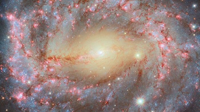  ‘Majestic’ spiral galaxy shines in new Hubble Telescope image.
 