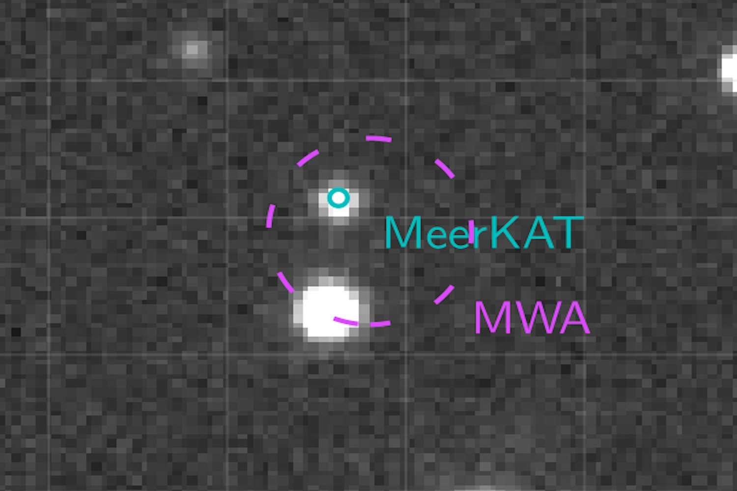  Unexplained Radio Signals Guide Astronomers to an Unexpected Cosmic Duo.
 