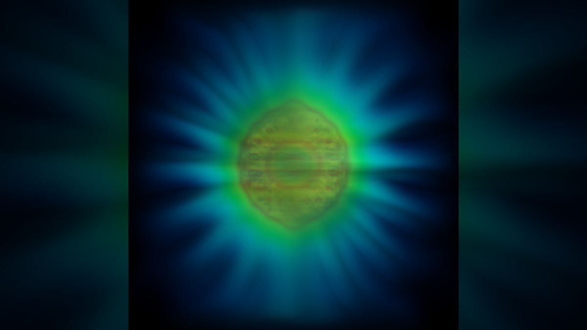  The form of light: Researchers unveil the first-ever image of a single photon.
 