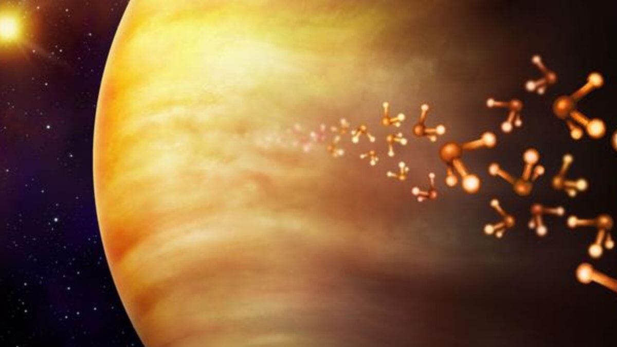 ​An ambitious initiative to search for extraterrestrial life on Venus is currently underway.
 