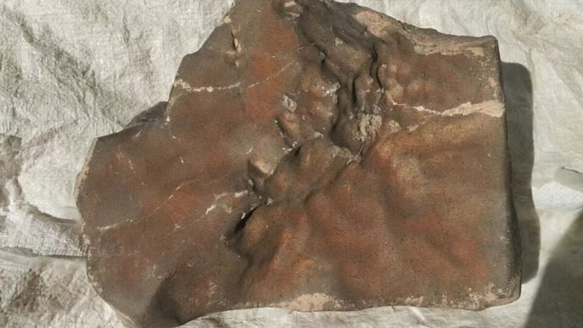 ​The largest meteorite from Mars ever discovered may sell for $4 million at auction.
 