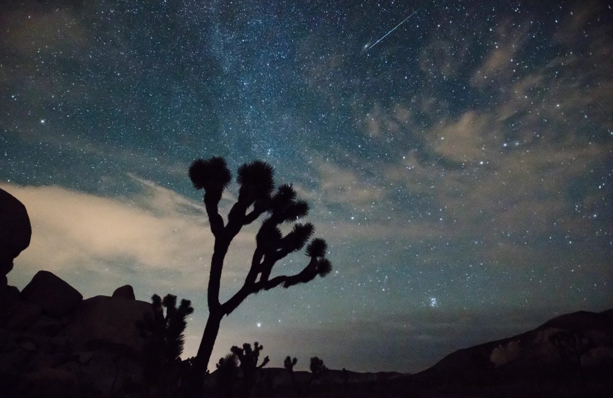 Tips for Observing One of the Year’s Most Spectacular Meteor Showers