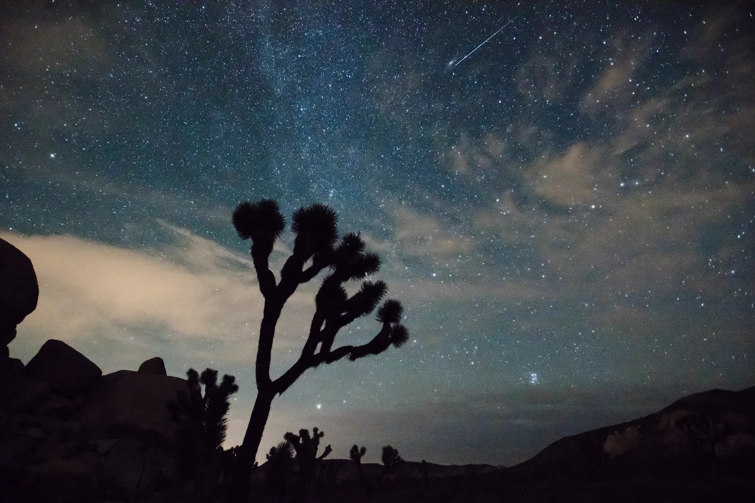  ​Tips for Observing One of the Year’s Most Spectacular Meteor Showers
 